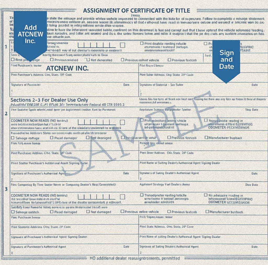 vehicle title sample